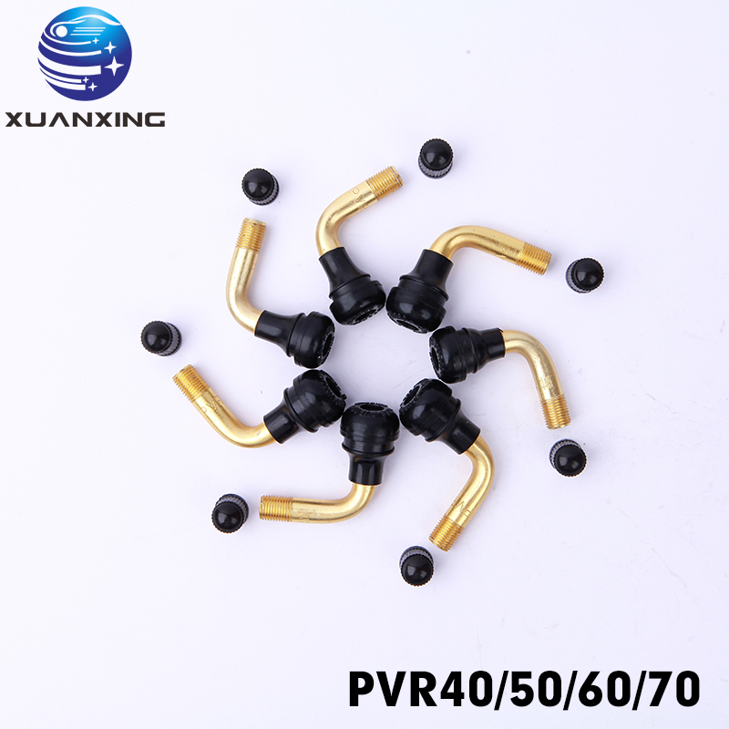 100PCS PVR70 PVR40 PVR50 PVR60 - Tubeless Valve Core recension och pris